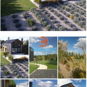 Usługi ogrodnicze, nawadnianie, projektowanie, zakładanie ogrodów, , ogrodnik, firma ogrodnicza Gardenbaum