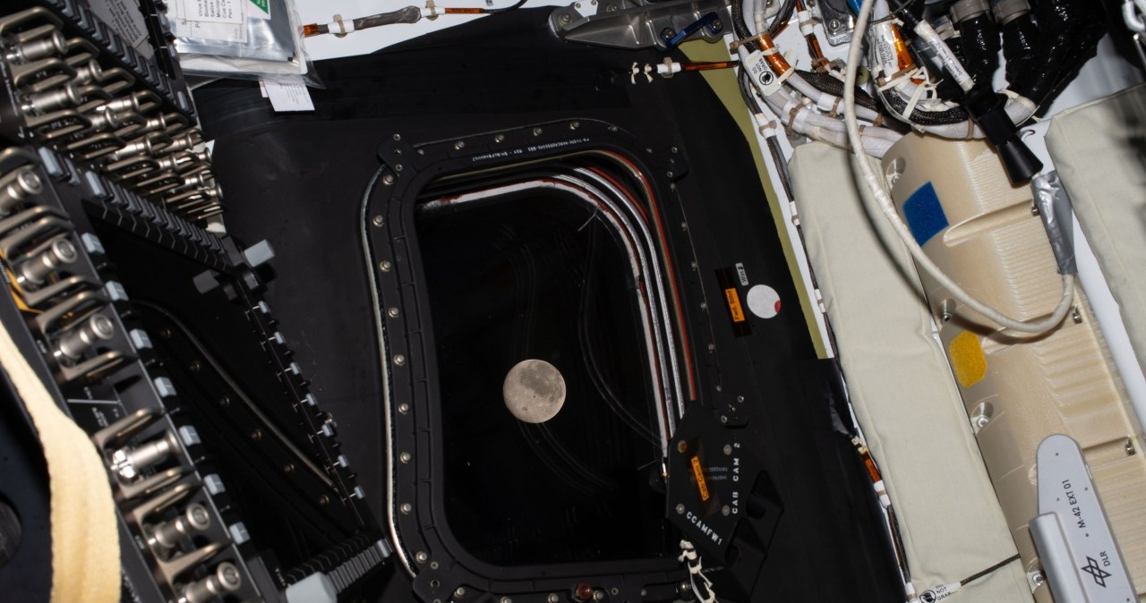 Będą najdalej od Ziemi w historii. Kluczowy dzień misji Artemis II