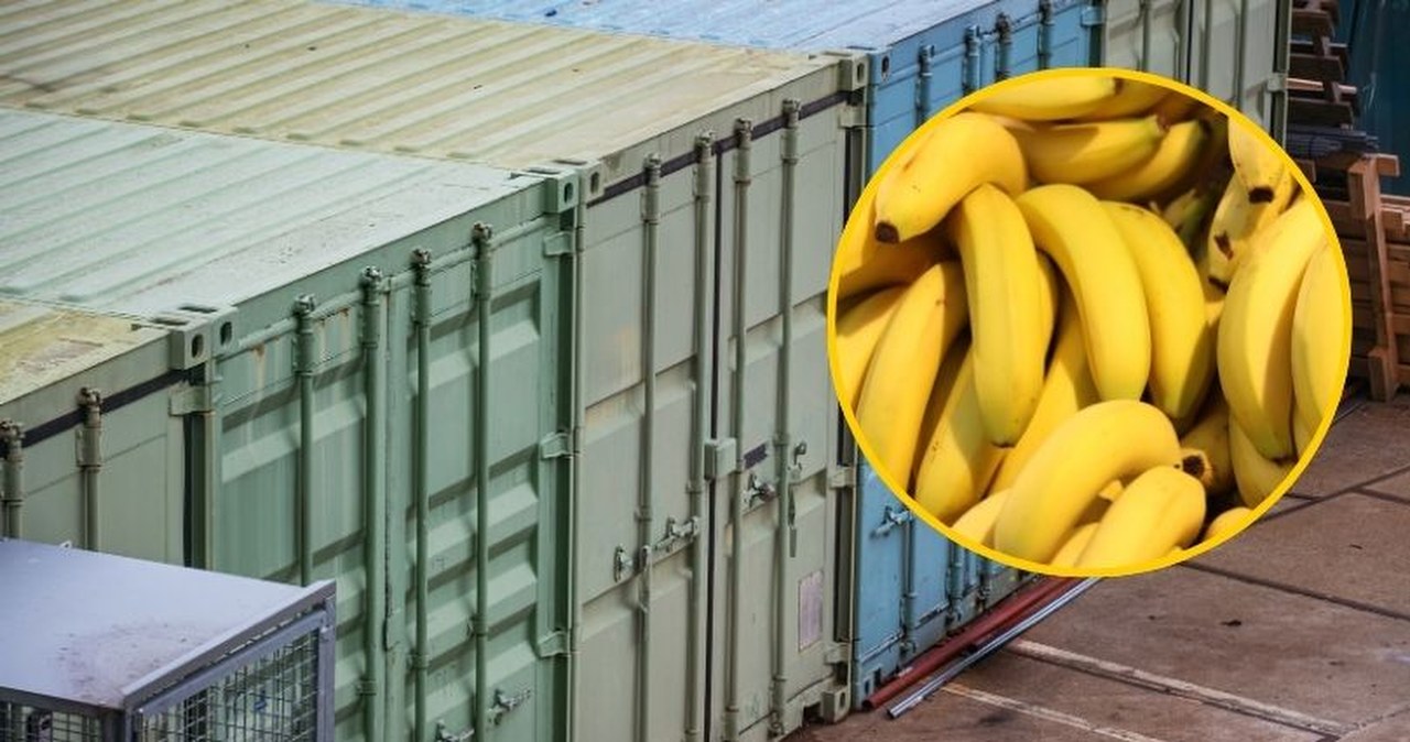 Tysiące bananów pojawiło się na plaży. Kontenery z owocami wypadły za burtę