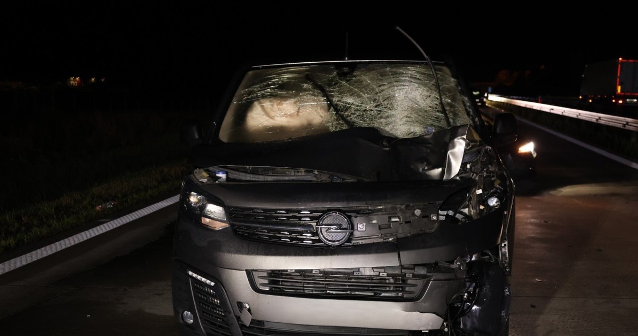 Chciał pieszo przekroczyć autostradę. Zginął na miejscu