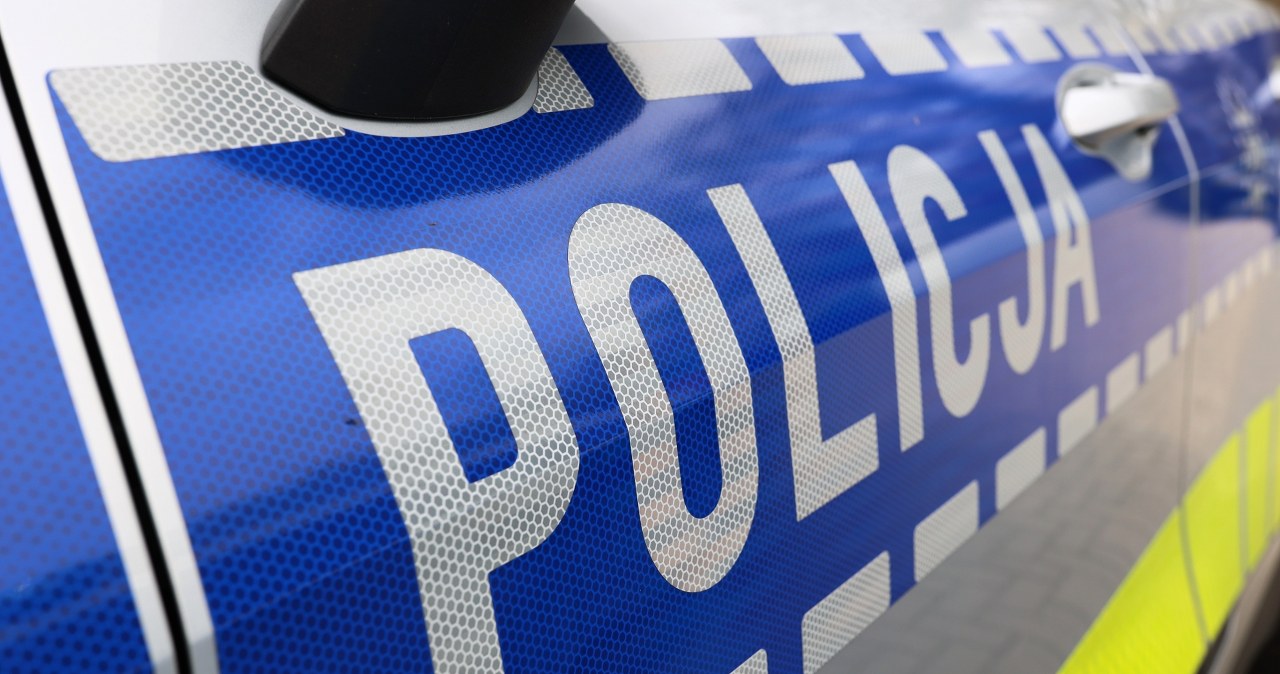 Oszustwa finansowe na wielką skalę. Członkowie międzynarodowego gangu w areszcie