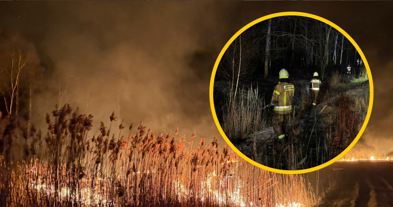 Duży pożar w Lędzinach. Straż przypomina o surowych karach