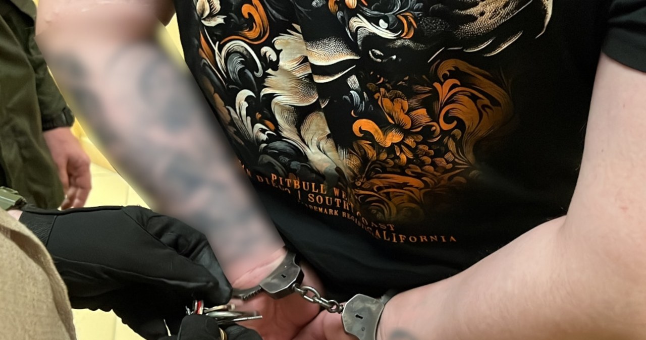 Zmuszali kobiety do prostytucji. Sutenerzy wpadli w ręce policji