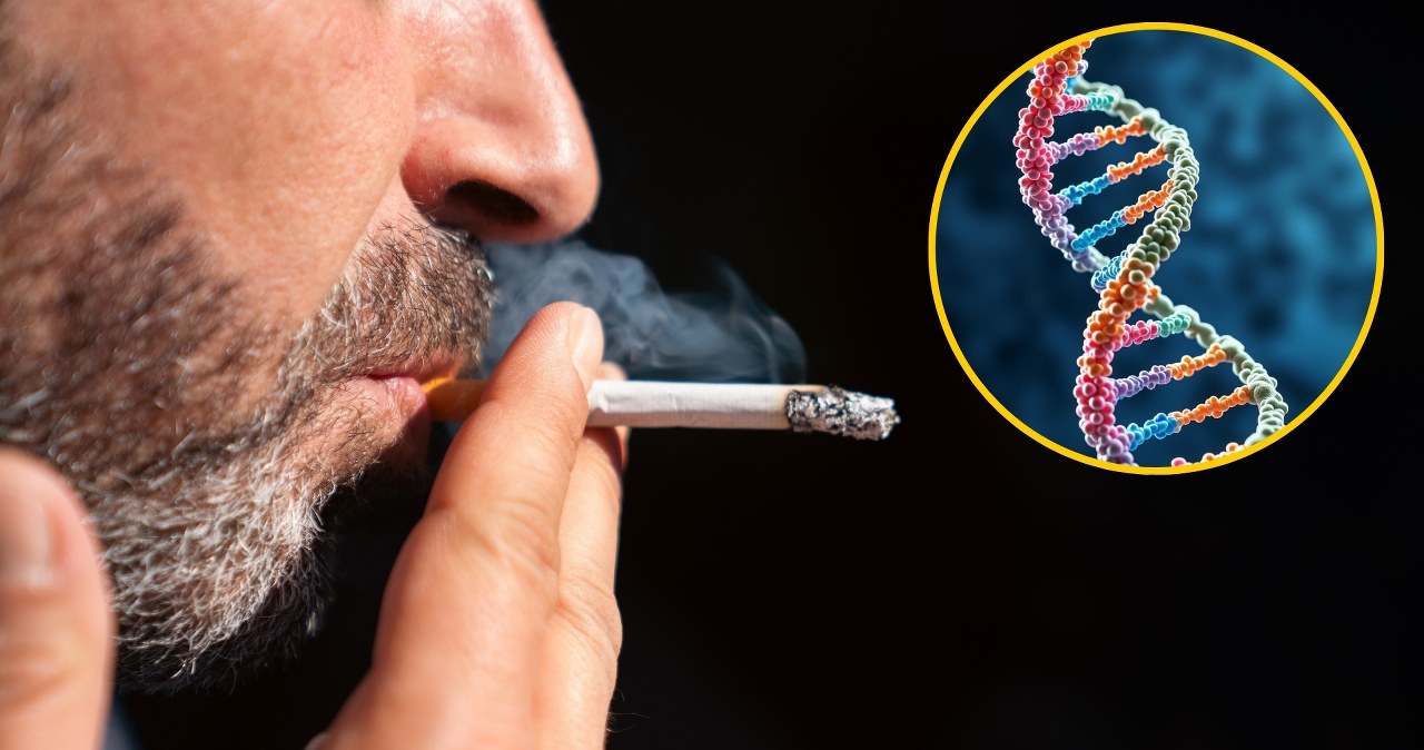 ​Twoje DNA pokaże, czy palisz. Polski wynalazek podbija świat nauki