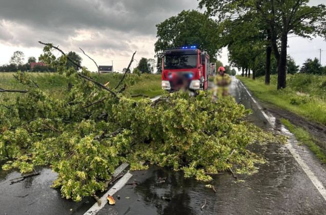 Połamane gałęzie, uszkodzone auta. Potężne burze przechodzą przez Polskę