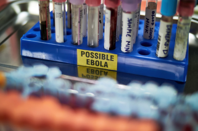 Epidemia wymyka się spod kontroli. Ebola rozprzestrzenia się szybciej niż dotychczas