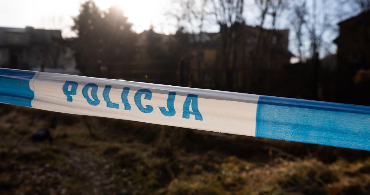Komunikat MSWiA ws. 12-latki z Jeleniej Góry podejrzanej o zabójstwo