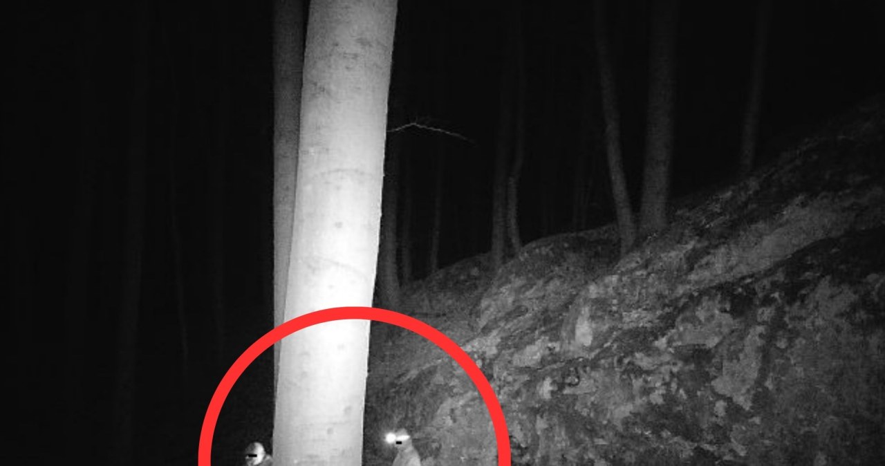 Akt wandalizu w rezerwacie Sokole Góry. Rozpoznajesz którąś z osób?