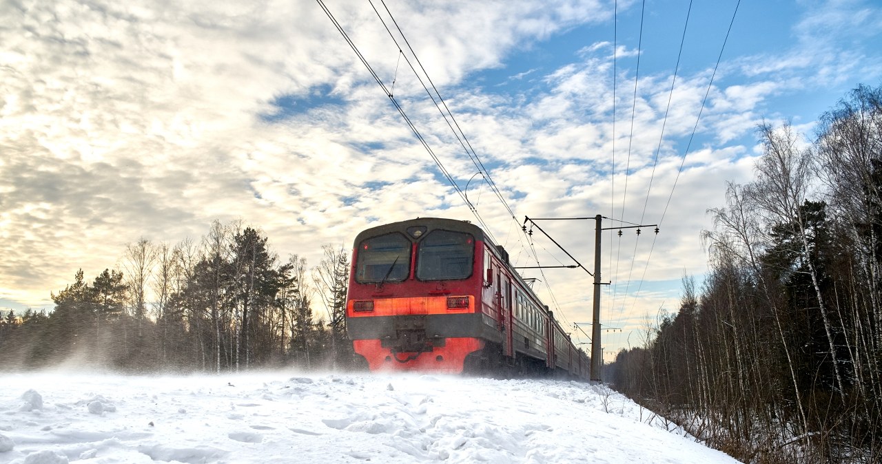 ​Drzewa usunięte. Po pięciu dniach przerwy pociągi wracają