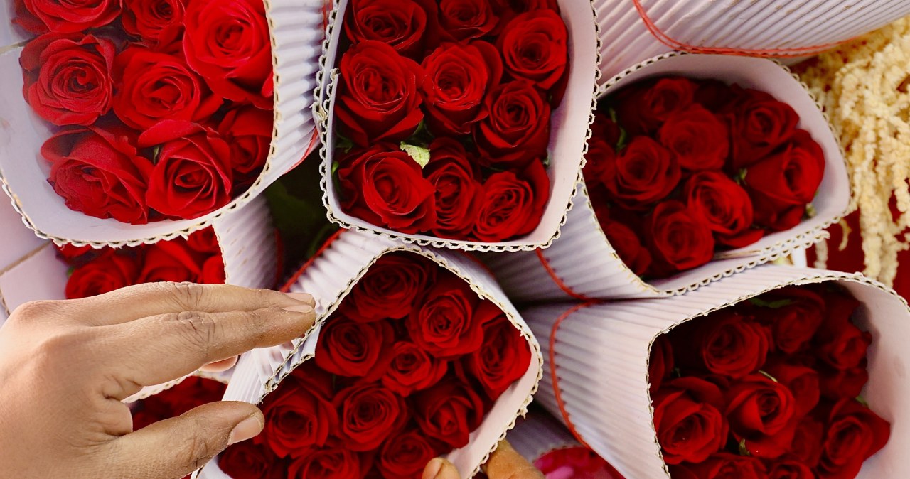 Czy Twoja miłość to tylko trik natury? Sprawdź, co mówi ekspert