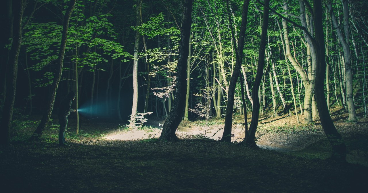 Koszmar turystki na Podhalu. Kierowca wyrzucił ją w lesie w nocy