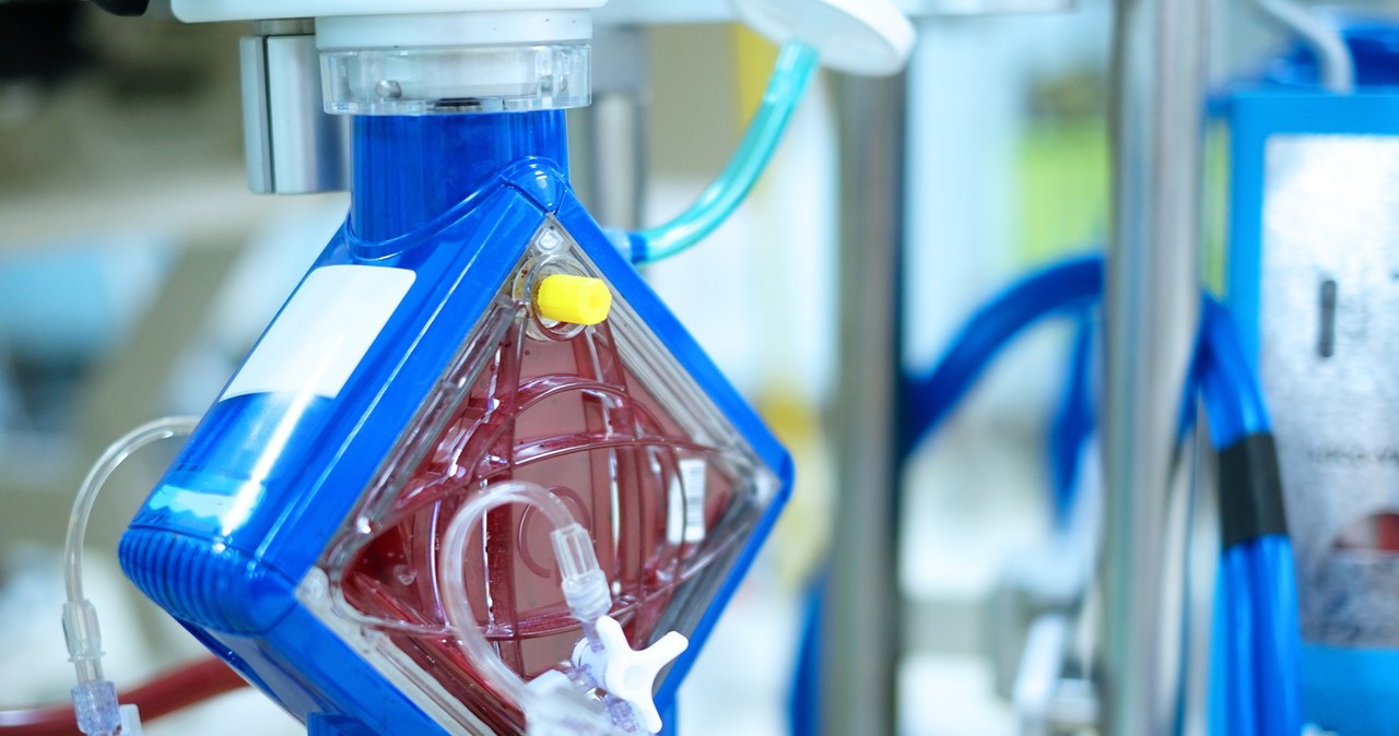 Sukces warszawskich lekarzy. Rekordowe ECMO i przeszczep uratowały 18-latka