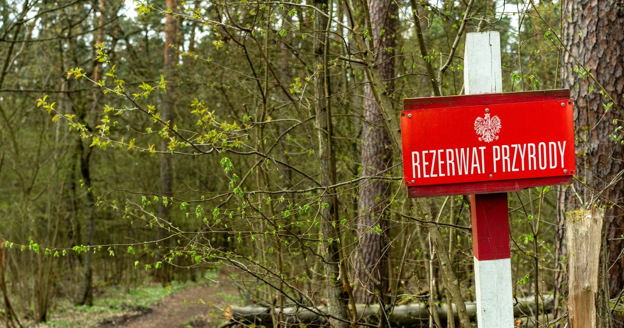 Lubelszczyzna: Powstały cztery nowe rezerwaty przyrody, gdzie je znaleźć?