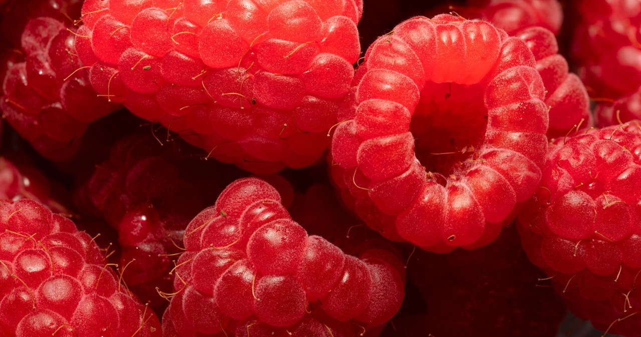 Malinowy szał w Radiu RMF24. „Nie potrzeba ani grama cukru”