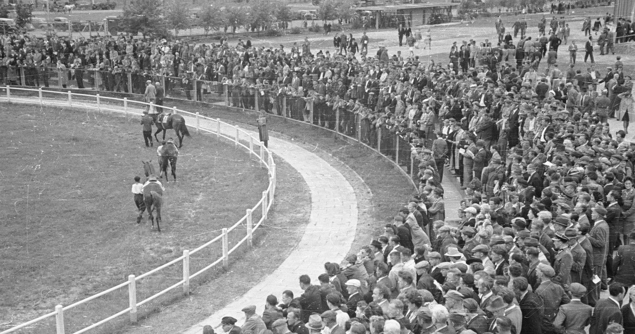 Zakulisowe oblicze wyścigów konnych lat 90. "Wielka Warszawska" to będzie hit!