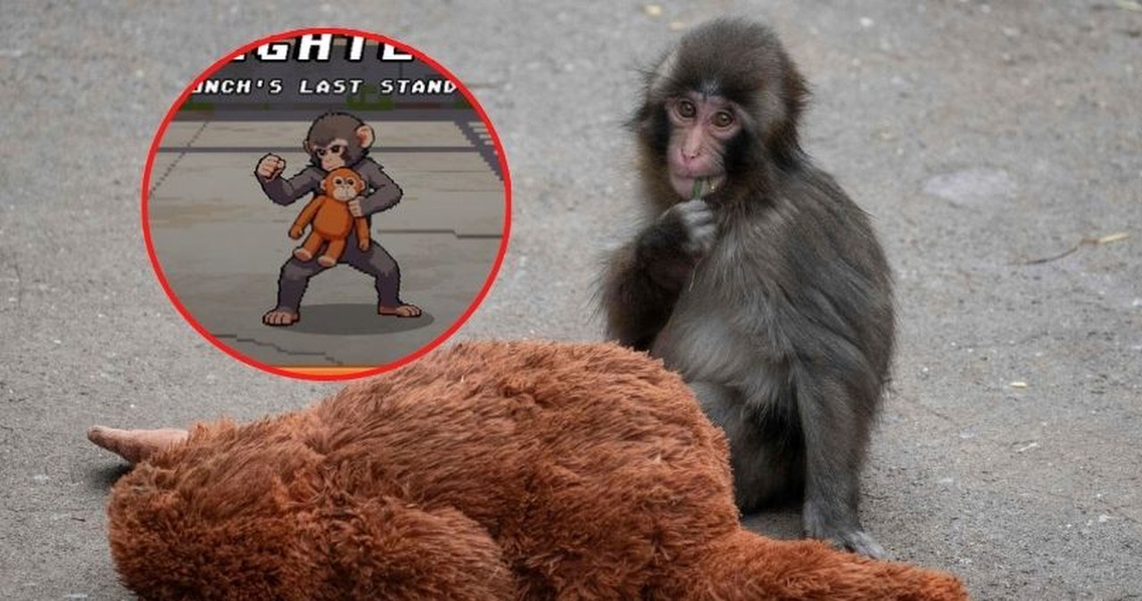 Punch walczy w wirtualnym świecie. Powstała gra o najsłynniejszej małpce świata