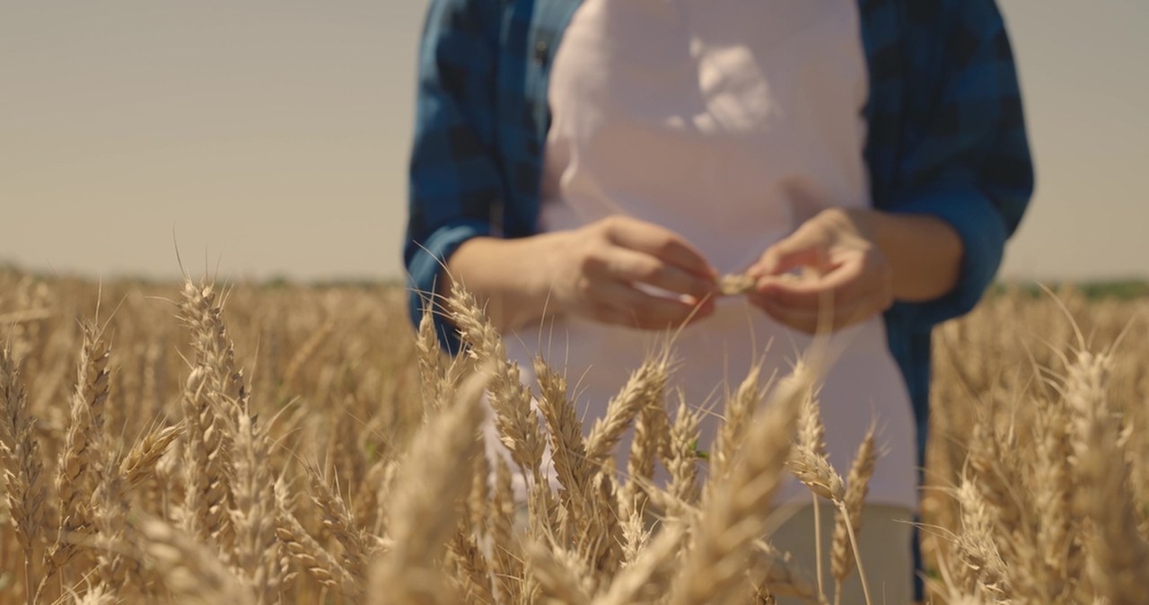 Pieniądze dla rolników. Minister apeluje: Nie czekajcie na ostatnią chwilę