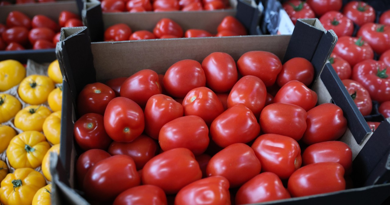 Płacą za nie każde pieniądze. Zaskakujące ceny w Broniszach