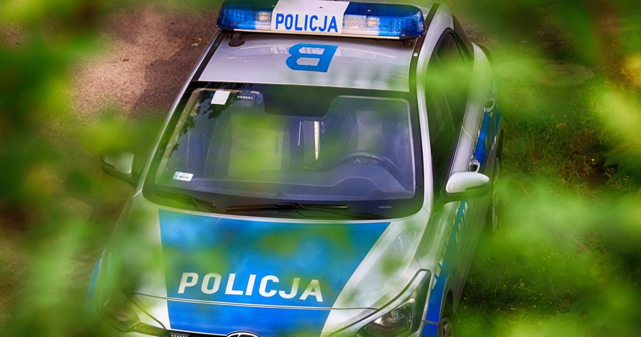 Śledził ją, wciągnął do lasu i zgwałcił. Zatrzymano 27-latka