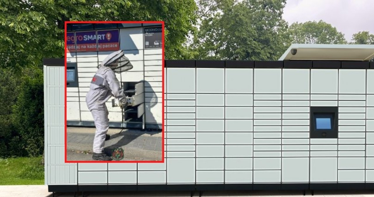 Rój pszczół w automacie paczkowym. Interweniowała straż pożarna