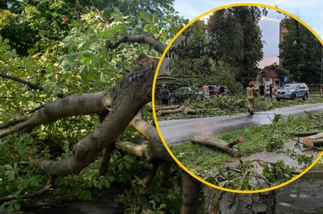 Burzowa noc na zachodzie Polski. Setki interwencji po gwałtownych nawałnicach