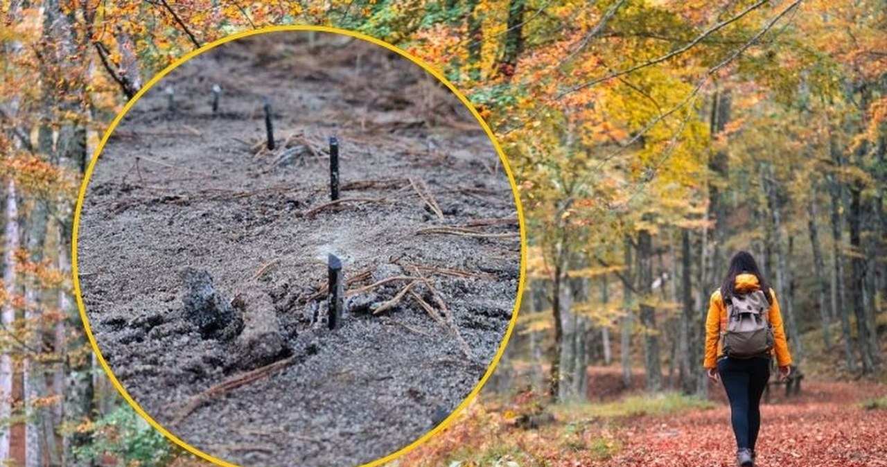 Niebezpieczna pułapka na drodze. Ktoś powbijał metalowe pręty w ziemię