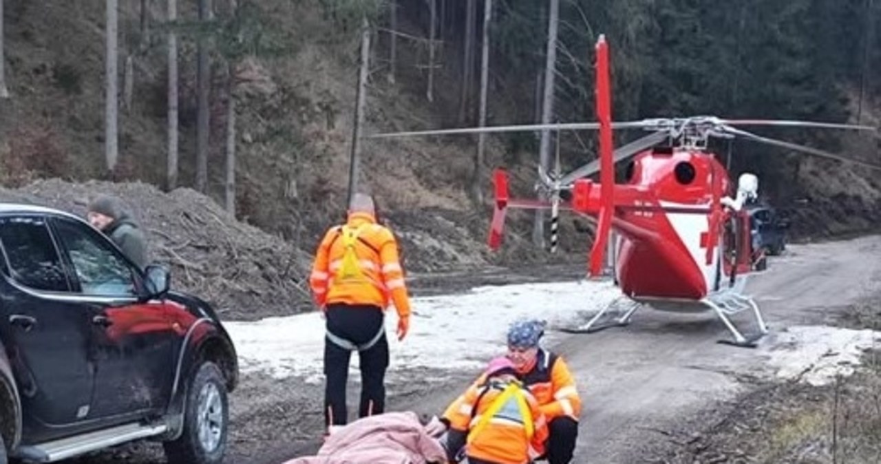 Atak niedźwiedzia na Słowacji. Apel służb