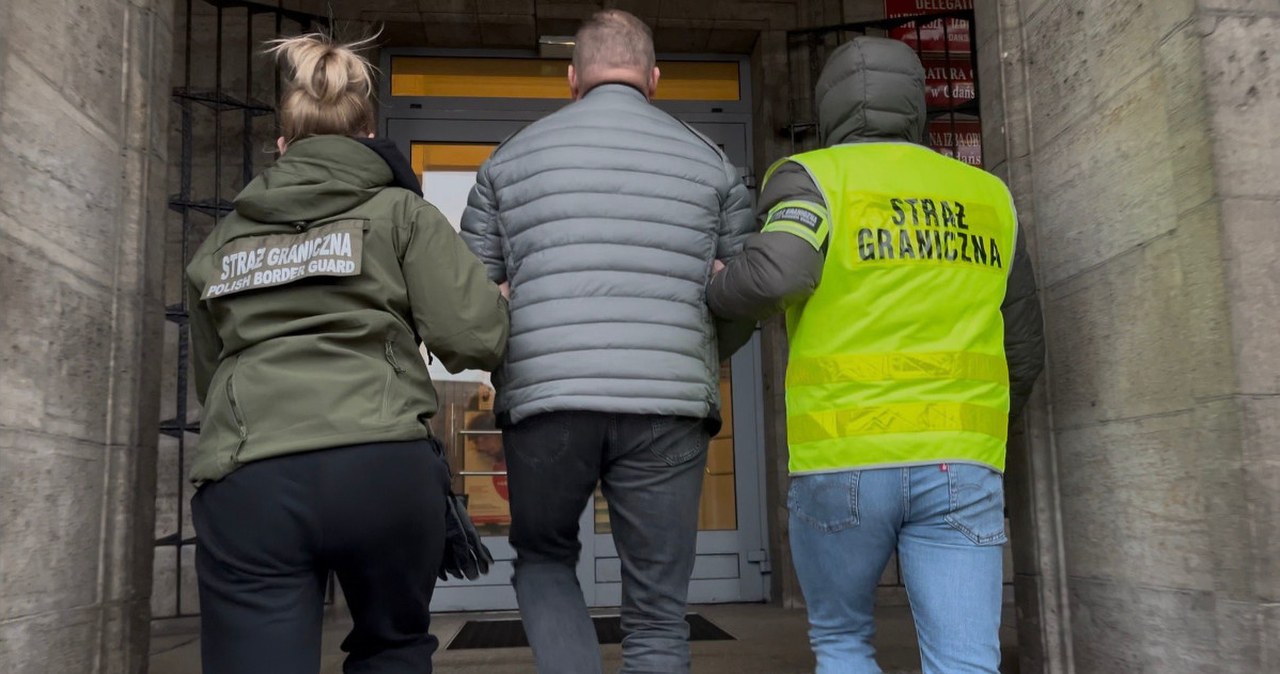 Sprowadzali rosyjskie i białoruskie drewno mimo sankcji. Wśród zatrzymanych Polacy