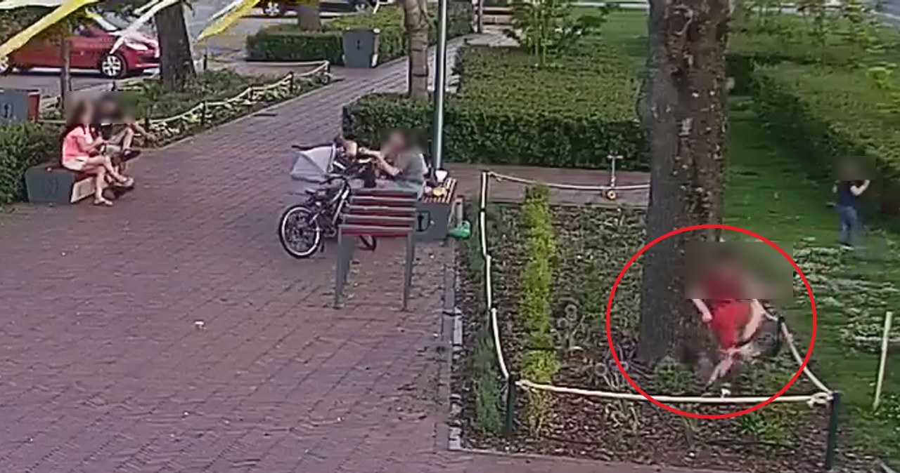 "Rodzice zajęci rozmową, dzieci beztrosko demolują klomby". Służby pokazły zdjęcia
