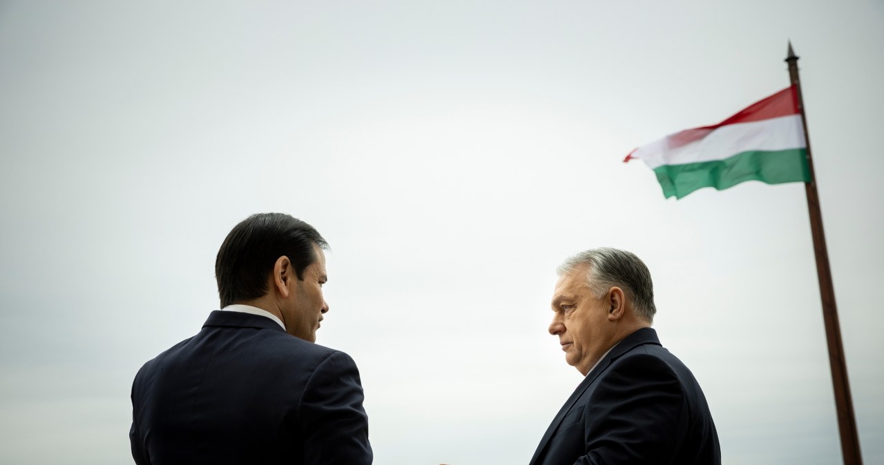 Rubio u Orbana. Kwitnie przedwyborcza miłość USA i Węgier