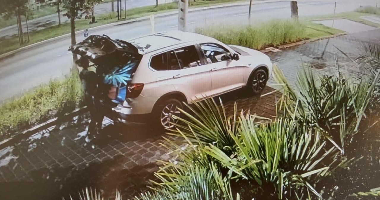 Podjeżdżała luksusowym bmw i kradła egzotyczne rośliny. Tak się tłumaczy