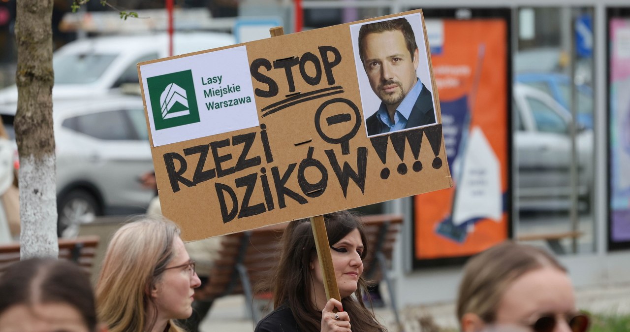 "Warszawa to nie rzeźnia". Protest przeciwników odstrzału dzików