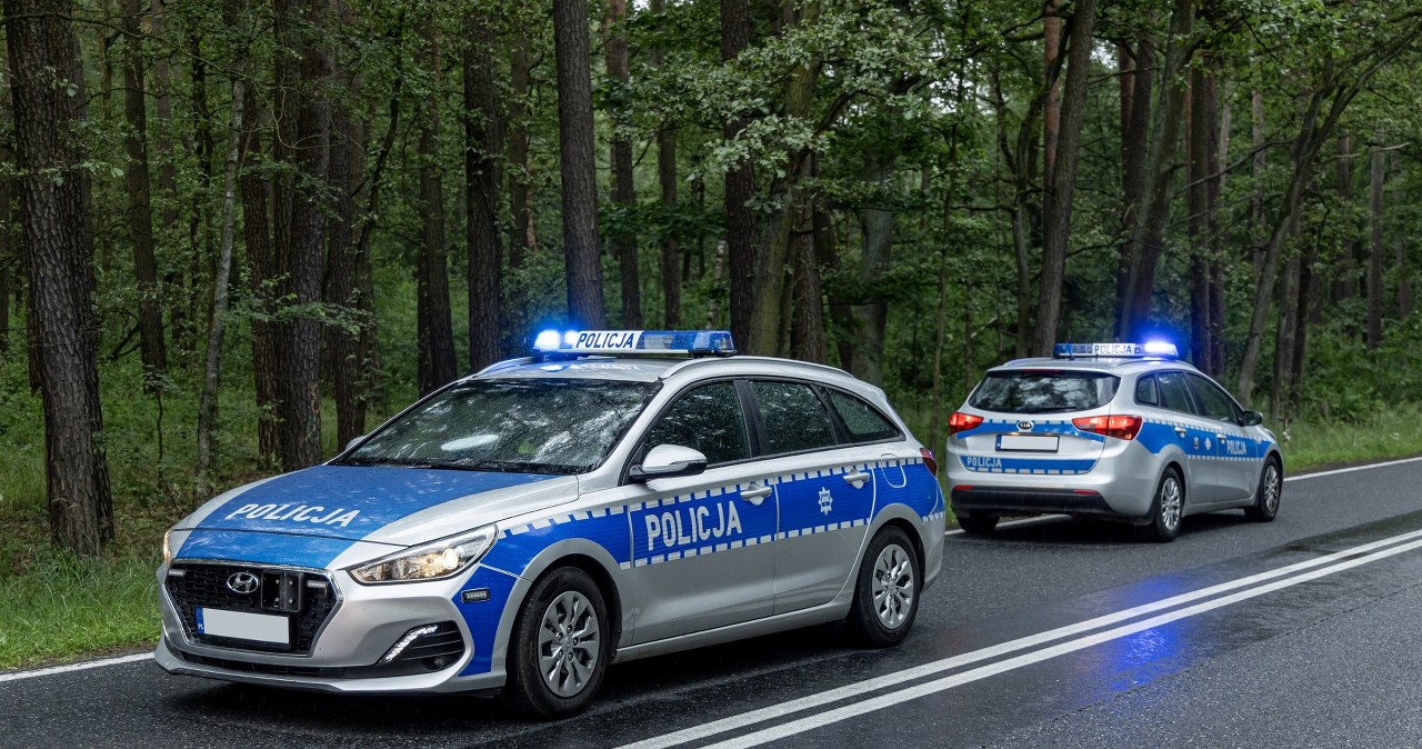 Strzelanina w Wielkopolsce. Policjanci zabezpieczyli 15 sztuk broni u właściciela rusznikarni