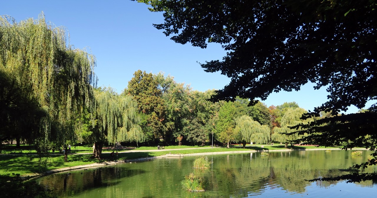 Staw w centrum miasta czeka remont. Co zyska kielecka atrakcja?