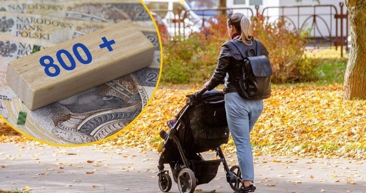 Zmiany w 800 plus już za trzy miesiące. Kogo dotyczą?