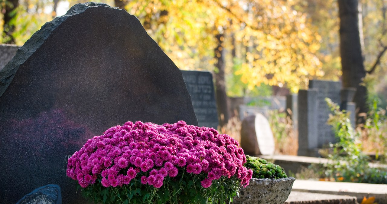 Szokujące podwyżki na wrocławskich cmentarzach. Mieszkańcy zapłacą więcej za pochówek