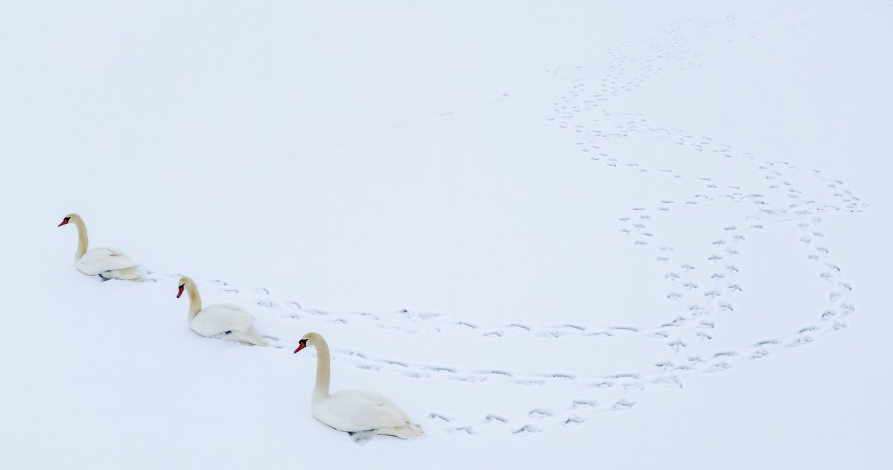 Ekstremalne śnieżyce na Węgrzech. "Sytuacja krytyczna" w niektórych regionach