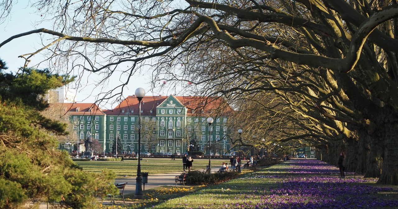 Rusza Szczeciński Budżet Obywatelski. W tym roku rekordowy