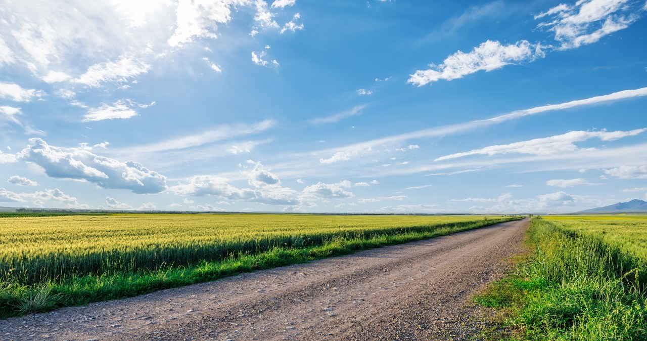 Sprzedaż działki pod CPK biznesmenowi. Prokuratura ogłasza