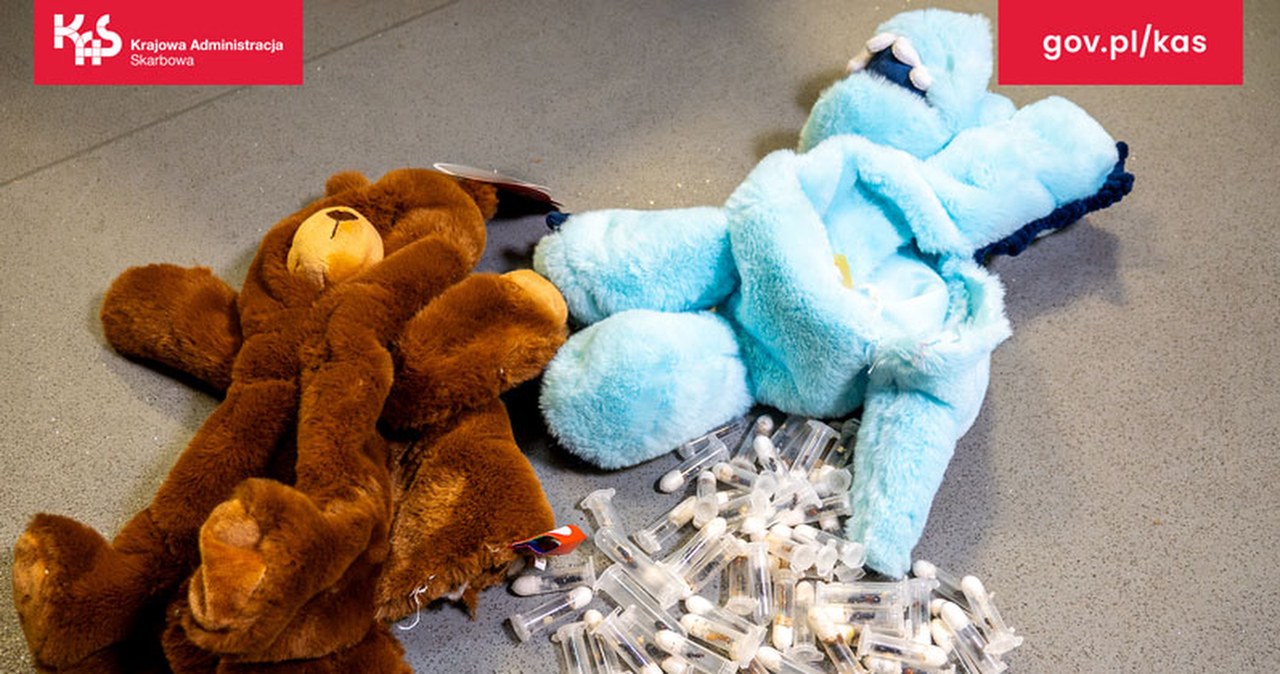 Zabawki, a w środku żywe mrówki. Przemyt udaremniony