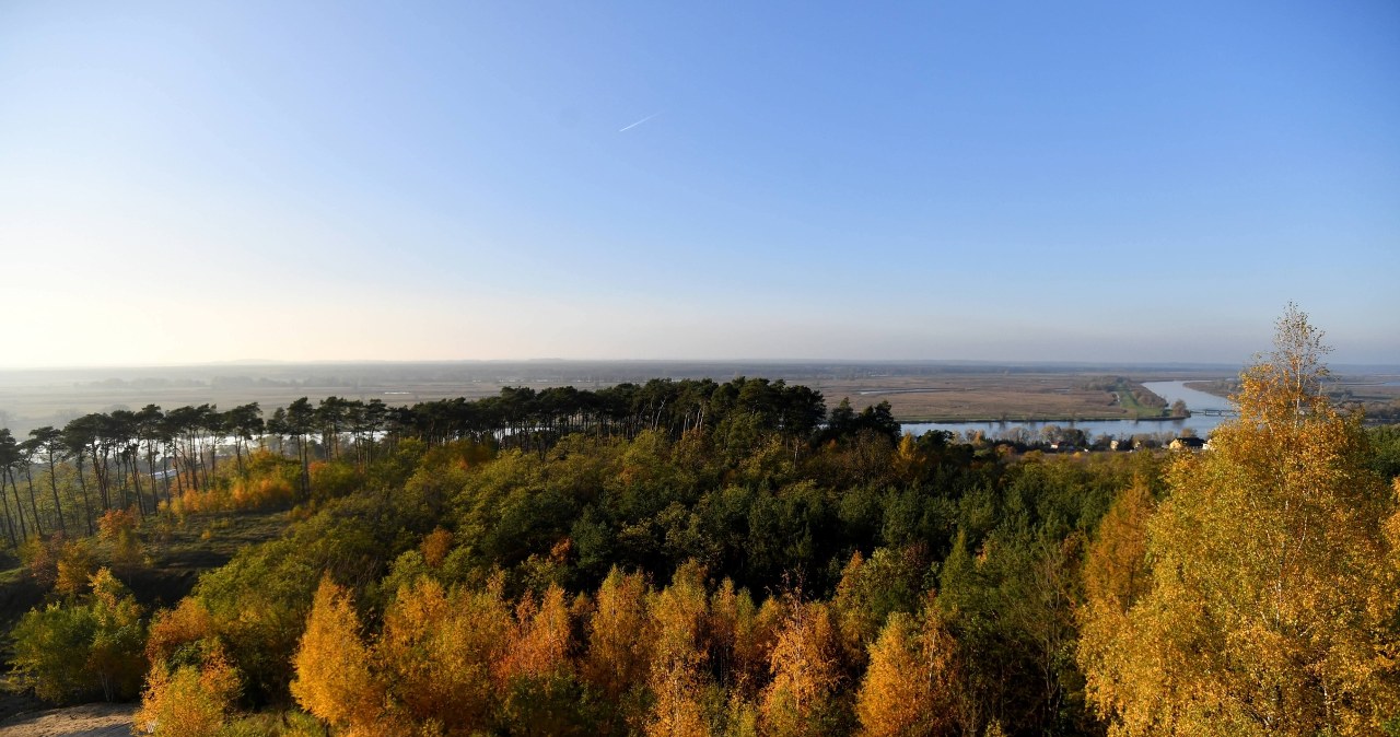 Wójt Kołbaskowa: Bez parku Dolina Dolnej Odry zatraci swoje walory