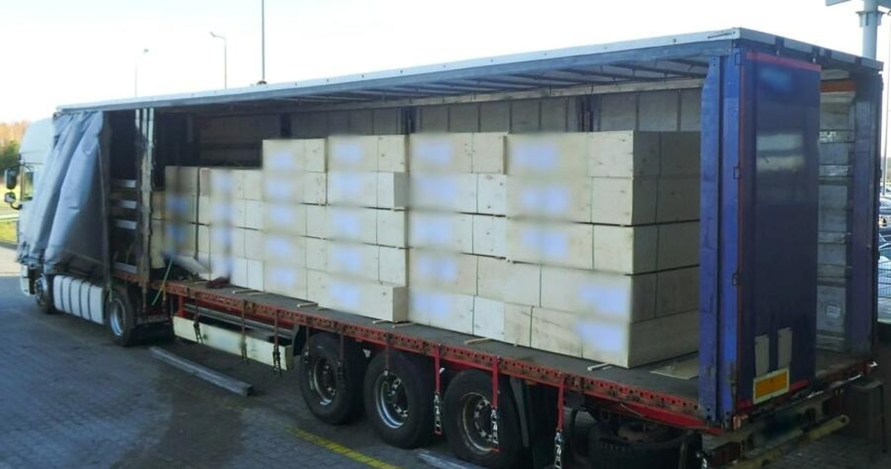 Koniec "kazachskiej" sklejki. Skarbówka skutecznie blokuje omijanie sankcji