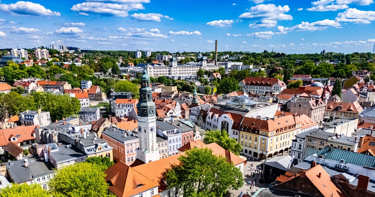 Lasy rosną mimo ekspansji betonu. Które miasta są najbardziej zielone?