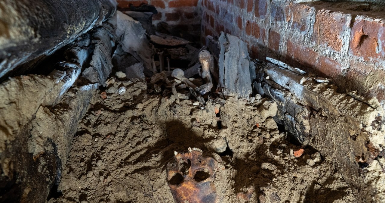 Były ukryte przez wieki. Sensacyjne odkrycie w krypcie pod klasztorem