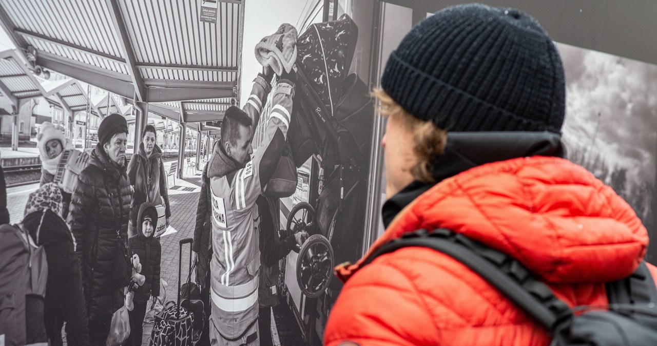 Wielka Brytania odmawia azylu Ukraińcom. Czy ma rację?