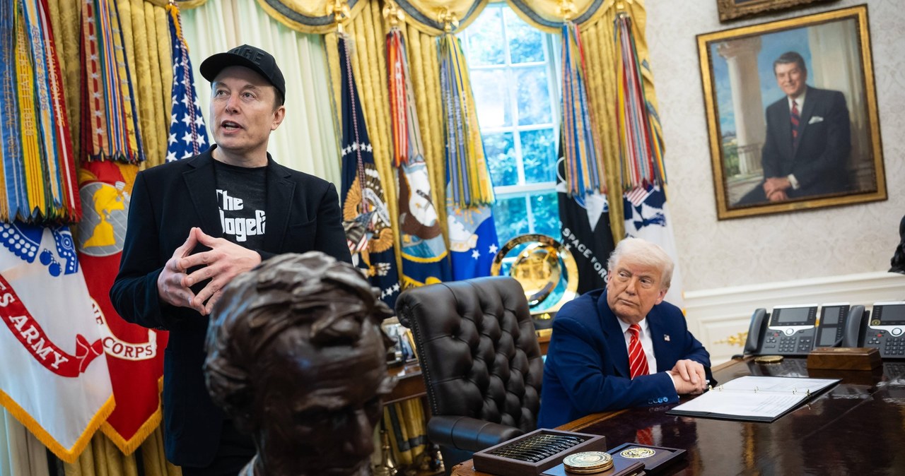 Trump: Elon Musk oszalał