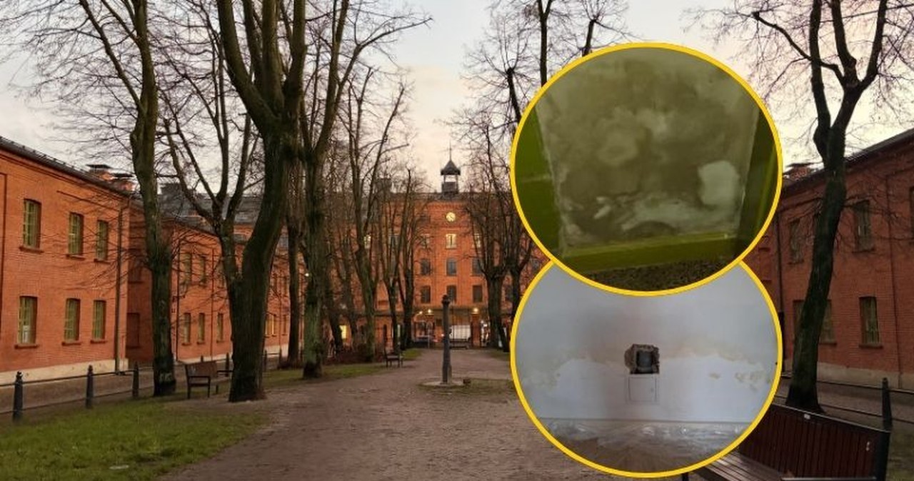 Wyższe czynsze i usterki po rewitalizacji Księżego Młyna. "Nie stać nas na mieszkanie w zabytku"