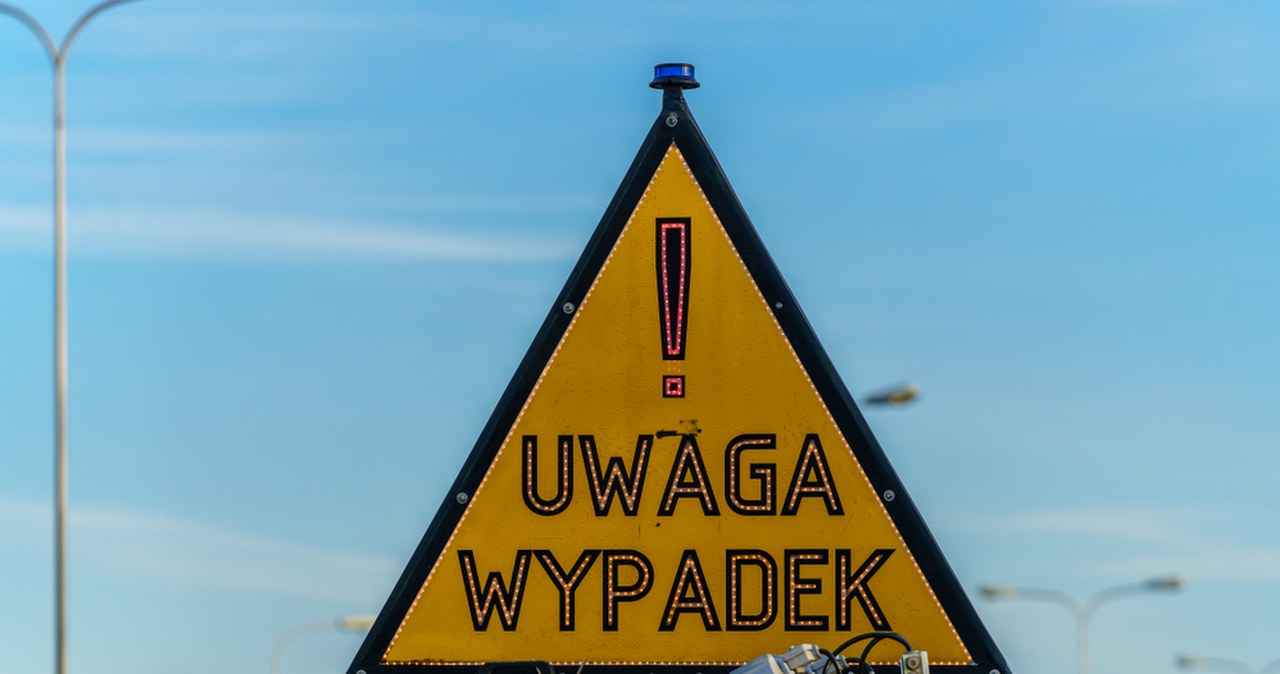 Niespodziewane zderzenie z wilkiem sparaliżowało trasę S6