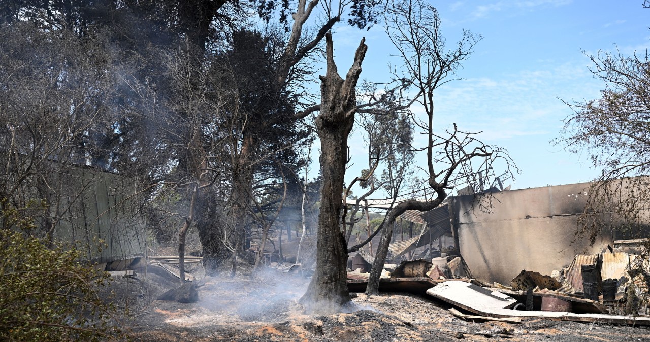 Zmagają się z żywiołem. "Pożary szaleją w wielu stanach"