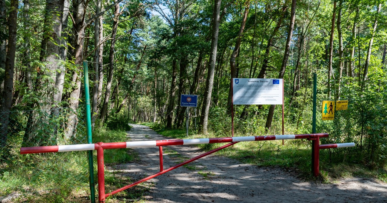 Nawet 500 zł mandatu. Straż graniczna apeluje do turystów